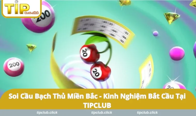 Soi Cầu Bạch Thủ Miền Bắc